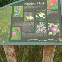 Perivale Wood Local Nature Reserve - Greenford