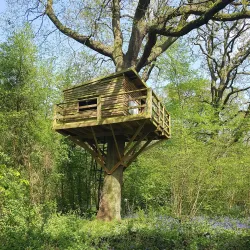 Perivale Wood Local Nature Reserve - Greenford