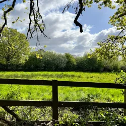 Perivale Wood Local Nature Reserve - Greenford