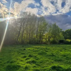 Perivale Wood Local Nature Reserve - Greenford