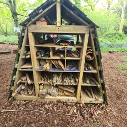 Perivale Wood Local Nature Reserve - Greenford