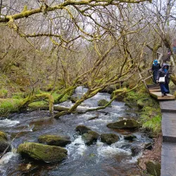 Greenock Cut Visitor Centre - Greenock