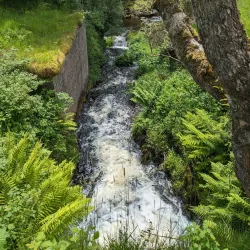 Greenock Cut Visitor Centre - Greenock