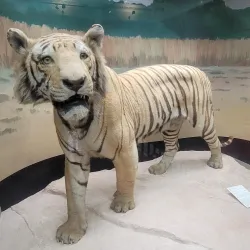 McLean Museum and Art Gallery - Greenock