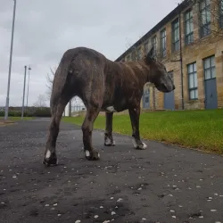 Riverside Park - Greenock