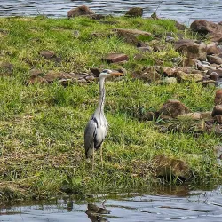 Annan River Walks - Gretna