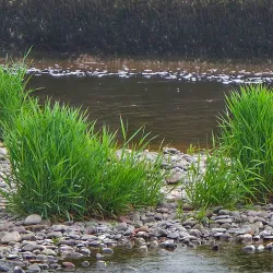 Annan River Walks - Gretna