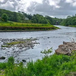 Annan River Walks - Gretna