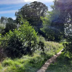 Annan River Walks - Gretna