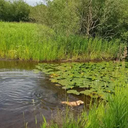 Lochmaben Castle - Gretna