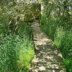 Lochmaben Castle - Gretna
