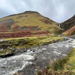 Moffat Hills - Gretna