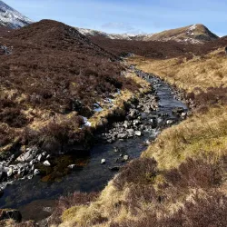 Moffat Hills - Gretna