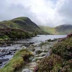 Moffat Hills - Gretna