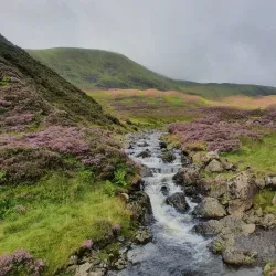 Moffat Hills - Gretna