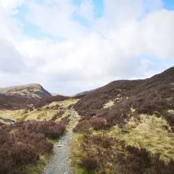 Moffat Hills - Gretna