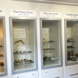 Guildford Museum - Guildford