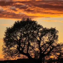 Guildford Spectrum Leisure Complex - Guildford