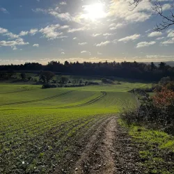 Loseley Park - Guildford