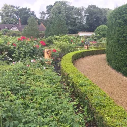 Loseley Park - Guildford