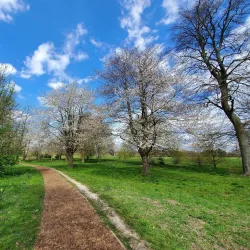 Stoke Park - Guildford