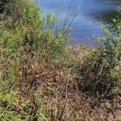 Ryburn Reservoir - Halifax