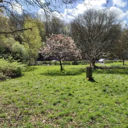 Harlow Town Park - Harlow