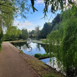 Harlow Town Park - Harlow