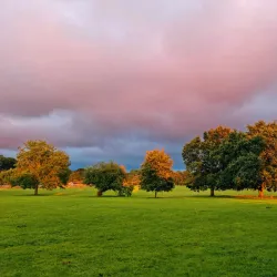 Harlow Town Park - Harlow