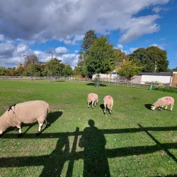 Harlow Town Park - Harlow