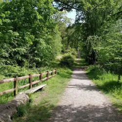 Netteswell Cross Nature Reserve - Harlow