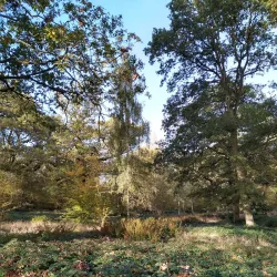 Netteswell Cross Nature Reserve - Harlow