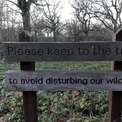 Netteswell Cross Nature Reserve - Harlow