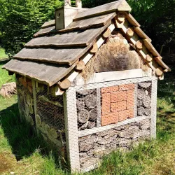 Netteswell Cross Nature Reserve - Harlow