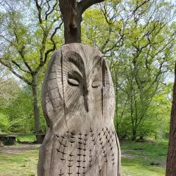 Netteswell Cross Nature Reserve - Harlow