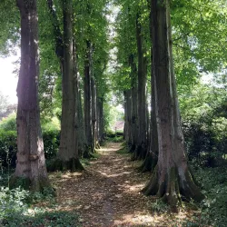 The Gibberd Garden - Harlow