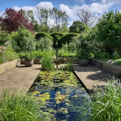 Harlow Carr Gardens - Harrogate