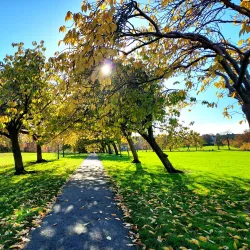 The Stray - Harrogate