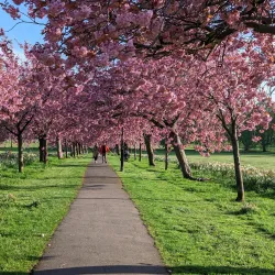 The Stray - Harrogate