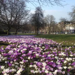 The Stray - Harrogate