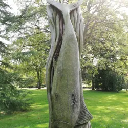 Valley Gardens - Harrogate