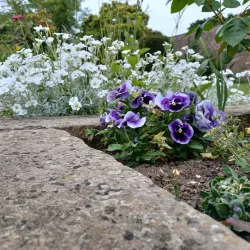 Canons Park - Harrow