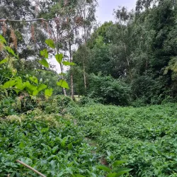 Canons Park - Harrow