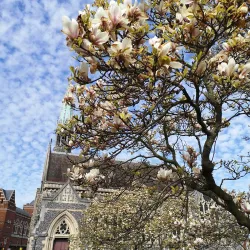 Harrow on the Hill Village - Harrow