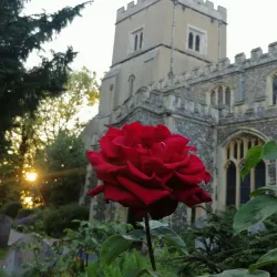 Harrow on the Hill Village - Harrow