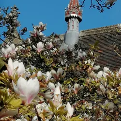 Harrow on the Hill Village - Harrow