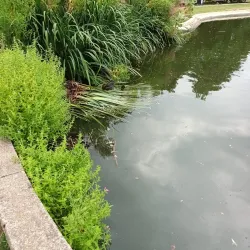 Pinner Memorial Park - Harrow