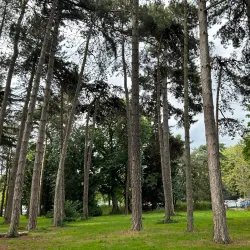 Pinner Memorial Park - Harrow