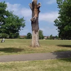 Roxeth Recreation Ground - Harrow