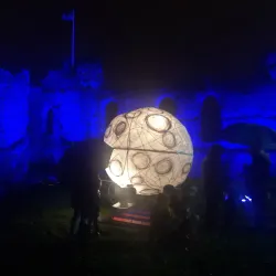 Pembrokeshire County Museum - Haverfordwest